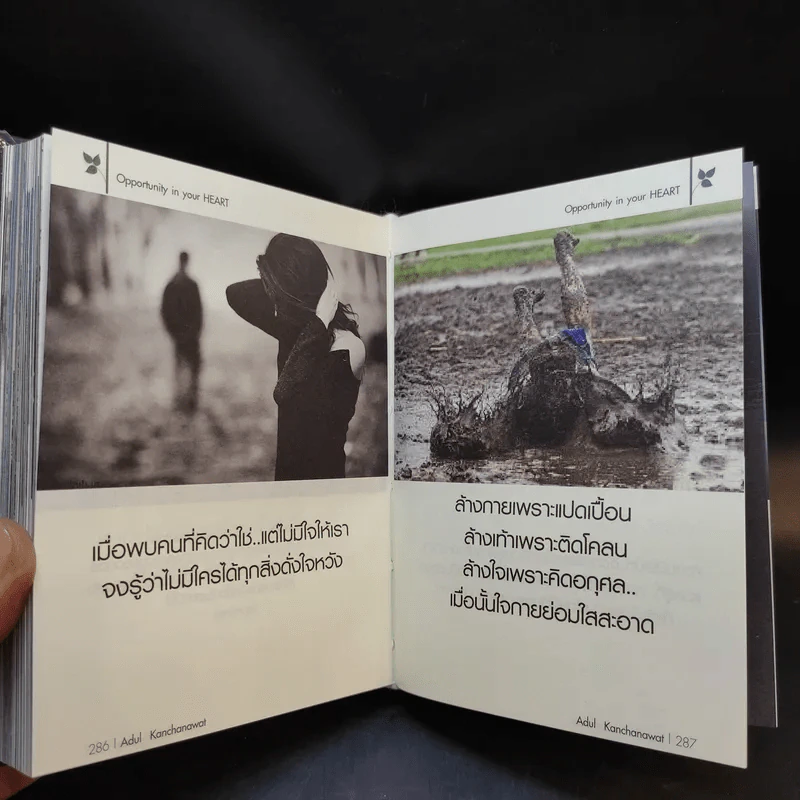 Opportunity in your heart - อดุลย์ กาญจนวัฒน์ รูปที่ 12