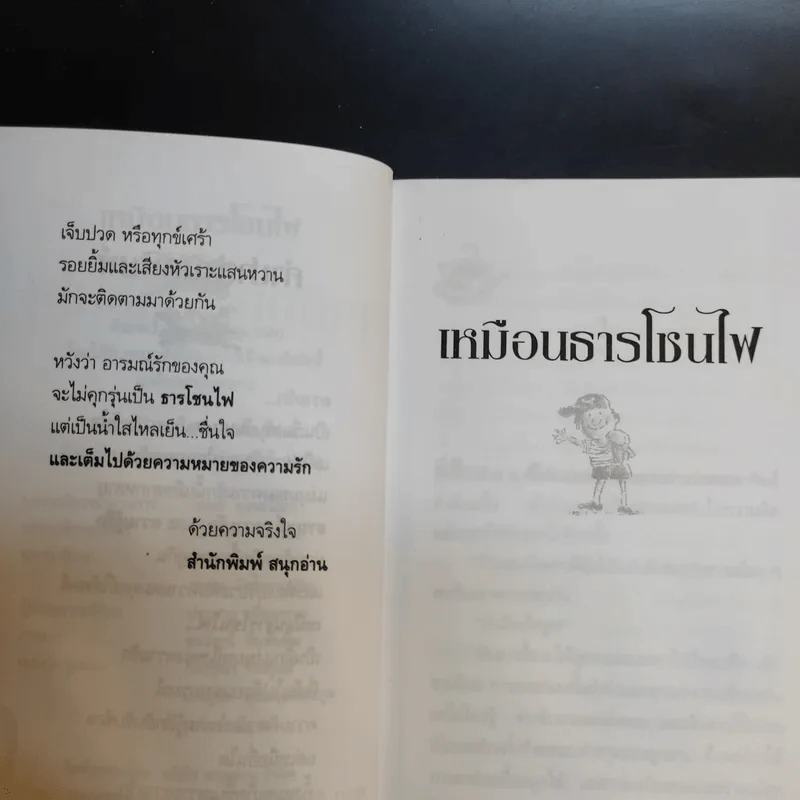เหมือนธารโชนไฟ - โกลัญญา ณ ไมตรี รูปที่ 10