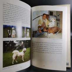 เรื่องทองแดง The Story of Tongdaeng รูปที่ 13
