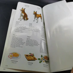 เรื่องทองแดง The Story of Tongdaeng ฉบับการ์ตูน ภาพสี รูปที่ 17