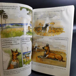เรื่องทองแดง The Story of Tongdaeng ฉบับการ์ตูน ภาพสี รูปที่ 13