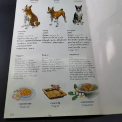 เรื่องทองแดง The Story of Tongdaeng ฉบับการ์ตูน ภาพสี รูปที่ 14