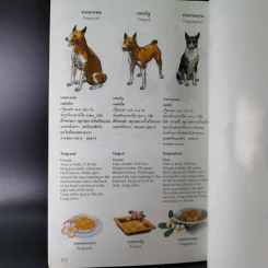 เรื่องทองแดง The Story of Tongdaeng ฉบับการ์ตูน ภาพสี รูปที่ 13