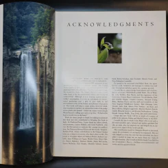 The Natural Habitat Garden - Ken Druse with Margaret Roach รูปที่ 11