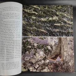 The Natural Habitat Garden - Ken Druse with Margaret Roach รูปที่ 16