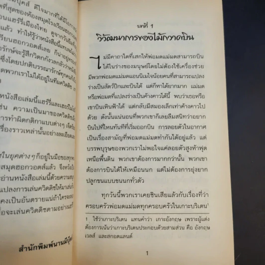 ควิดดิชในยุคต่างๆ - เคนนิลเวอร์ที วิสป์ รูปที่ 14