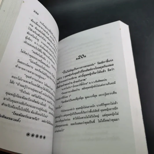 ทายาทคืนเหย้า - วลัย นวาระ รูปที่ 9