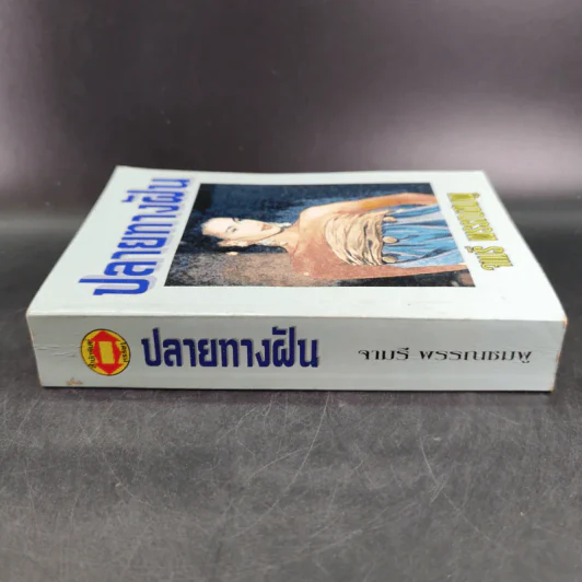ปลายทางฝัน - จามรี พรรณชมพู รูปที่ 3