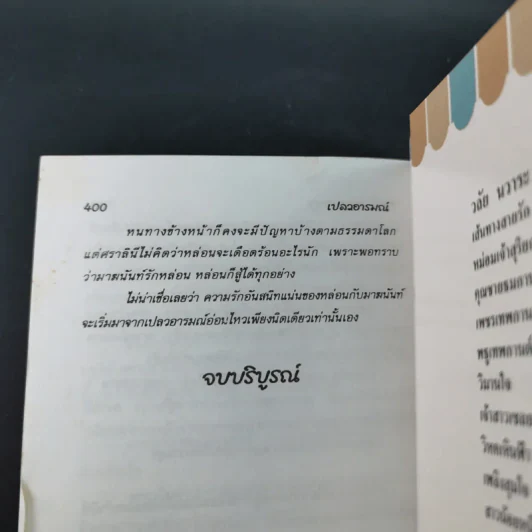 เปลวอารมณ์ - จามรี พรรณชมพู รูปที่ 11