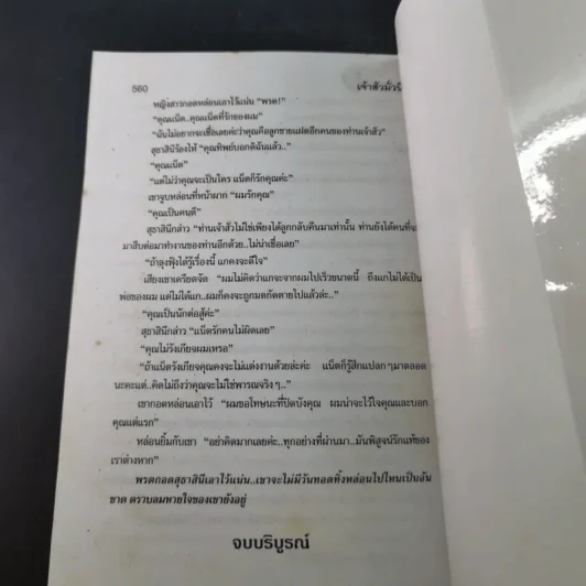 เจ้าสัวมั่วนิ่ม - เกตุวดี รูปที่ 10