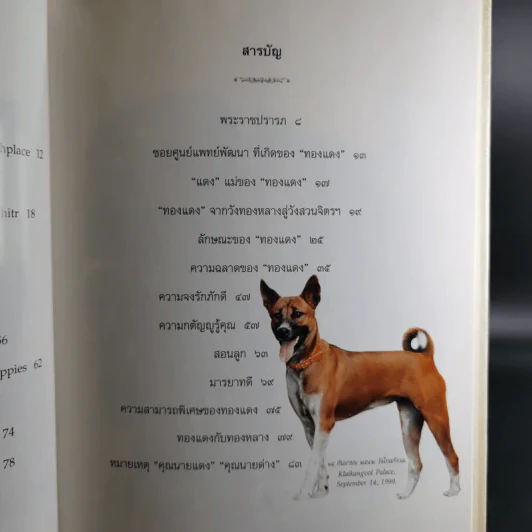 เรื่องทองแดง The Story of Tongdaeng รูปที่ 11