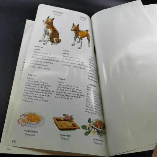 เรื่องทองแดง The Story of Tongdaeng ฉบับการ์ตูน ภาพสี รูปที่ 17