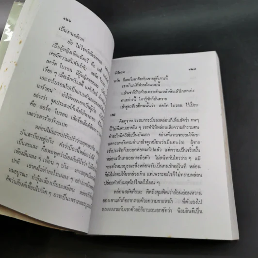วังใจวน - วลัย นวาระ รูปที่ 9