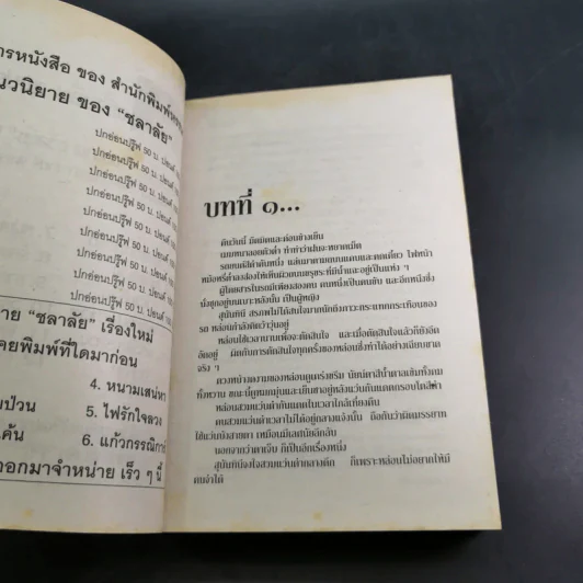 ผัวเชลย - จามรี พรรณชมพู รูปที่ 8