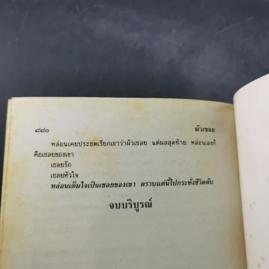 ผัวเชลย - จามรี พรรณชมพู รูปที่ 10