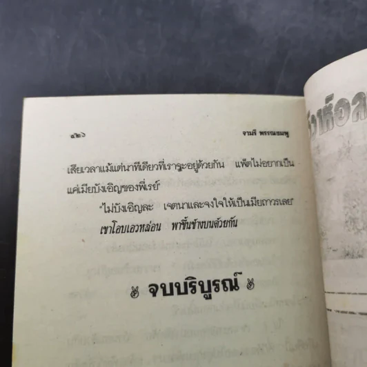 เมียบังเอิญ - จามรี พรรณชมพู รูปที่ 10