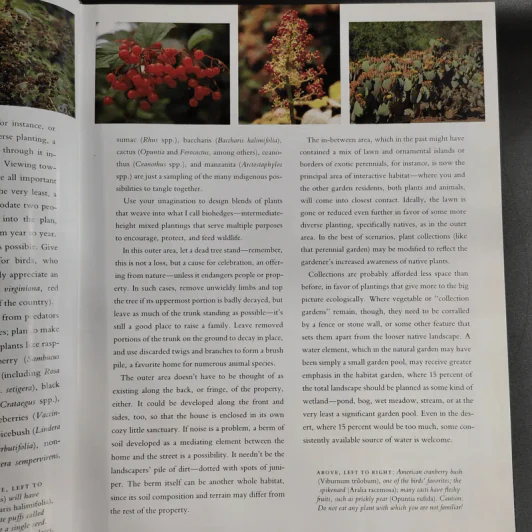 The Natural Habitat Garden - Ken Druse with Margaret Roach รูปที่ 18