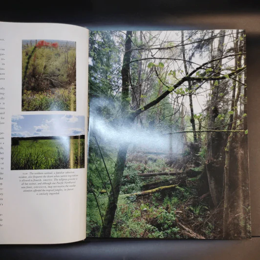 The Natural Habitat Garden - Ken Druse with Margaret Roach รูปที่ 15