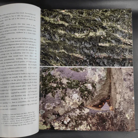 The Natural Habitat Garden - Ken Druse with Margaret Roach รูปที่ 16