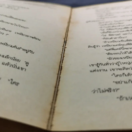 แมวเหมียว - นลิน บุษกร รูปที่ 12