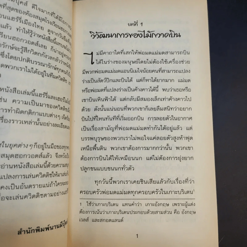 ควิดดิชในยุคต่างๆ - เคนนิลเวอร์ที วิสป์ รูปที่ 14