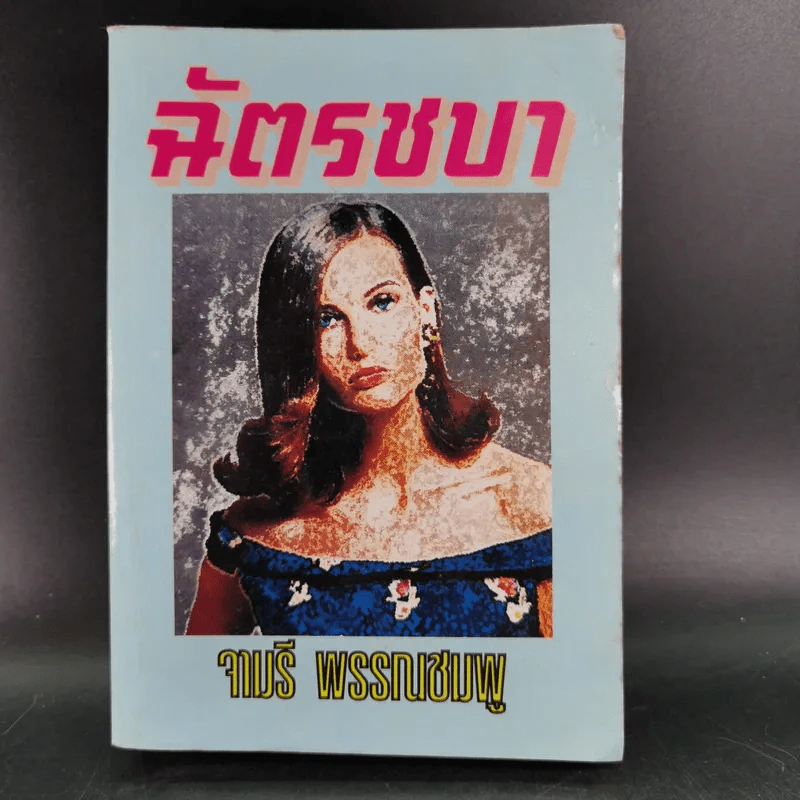 ฉัตรชบา - จามรี พรรณชมพู รูปที่ 1