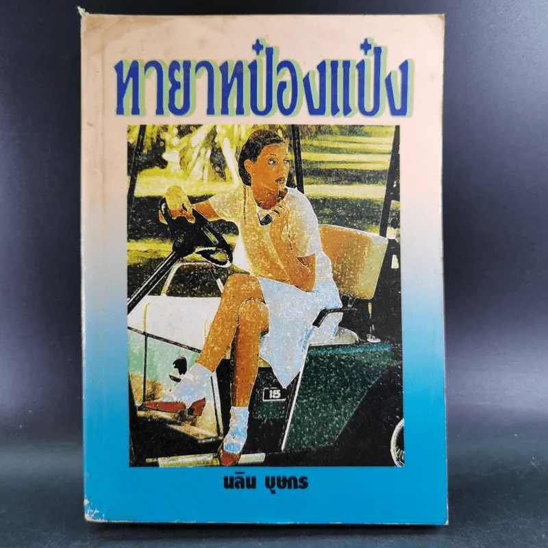 ทายาทป๋องแป๋ง - นลิน บุษกร รูปที่ 1