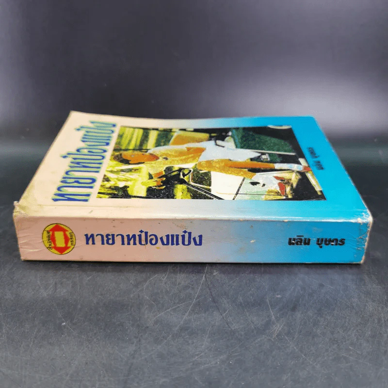 ทายาทป๋องแป๋ง - นลิน บุษกร รูปที่ 3