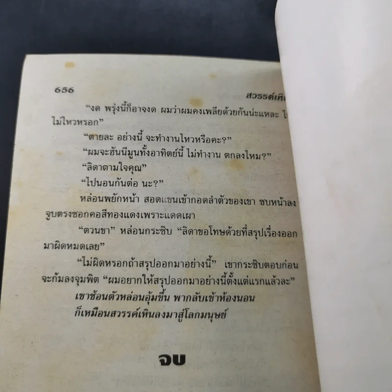 สวรรค์เหิน - จามรี พรรณชมพู รูปที่ 10