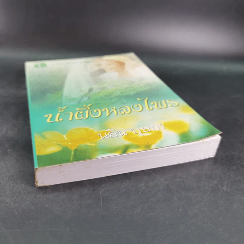 น้ำผึ้งหลงไพร - นลิน บุษกร รูปที่ 4
