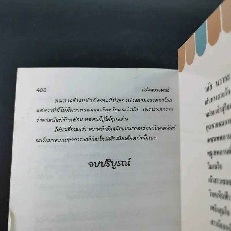 เปลวอารมณ์ - จามรี พรรณชมพู รูปที่ 11