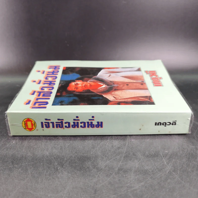 เจ้าสัวมั่วนิ่ม - เกตุวดี รูปที่ 3