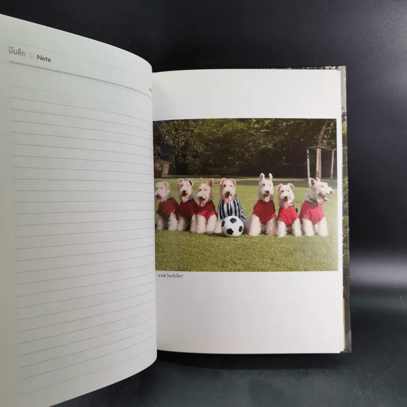 สัตว์เลี้ยงวังสระปทุม Diary 2549/2006 - สิรินธร รูปที่ 10