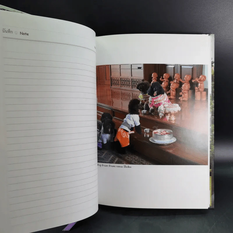 สัตว์เลี้ยงวังสระปทุม Diary 2549/2006 - สิรินธร รูปที่ 11