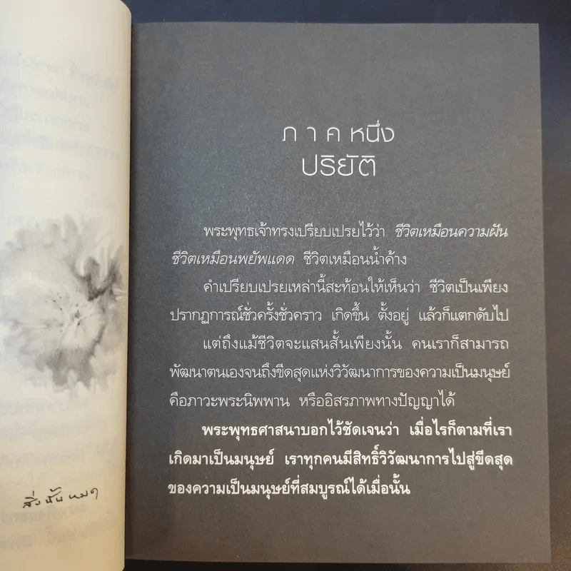 นิพพานระหว่างวัน - ว.วชิรเมธี รูปที่ 14