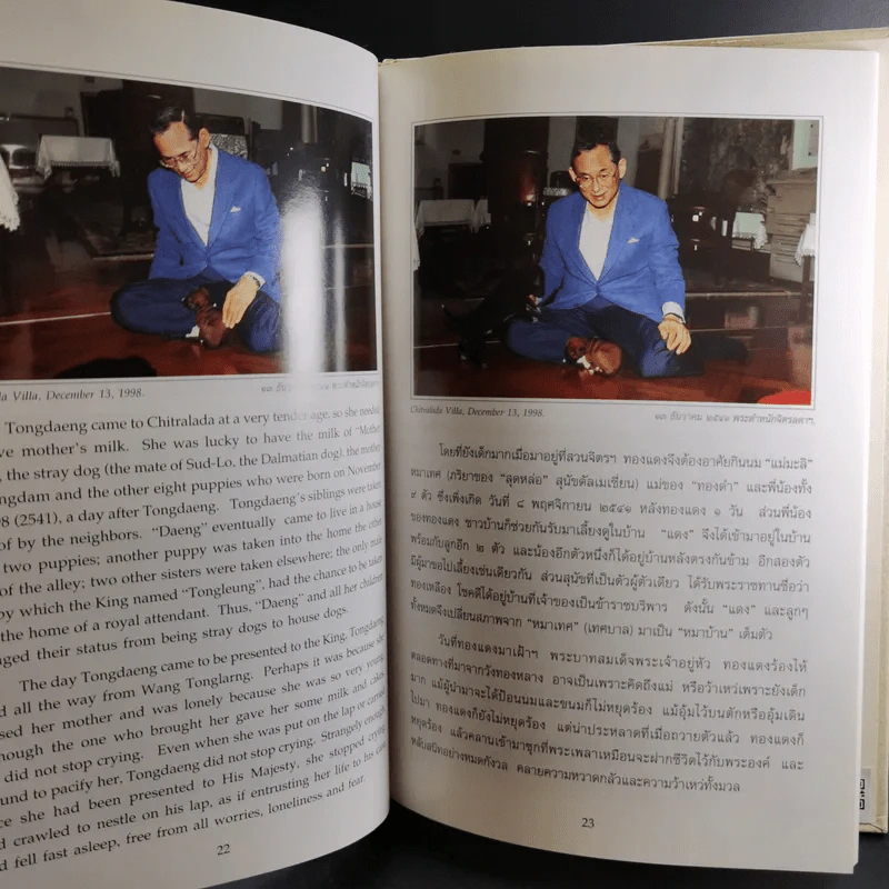 เรื่องทองแดง The Story of Tongdaeng รูปที่ 12