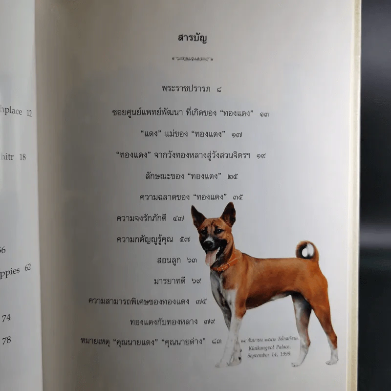 เรื่องทองแดง The Story of Tongdaeng รูปที่ 11