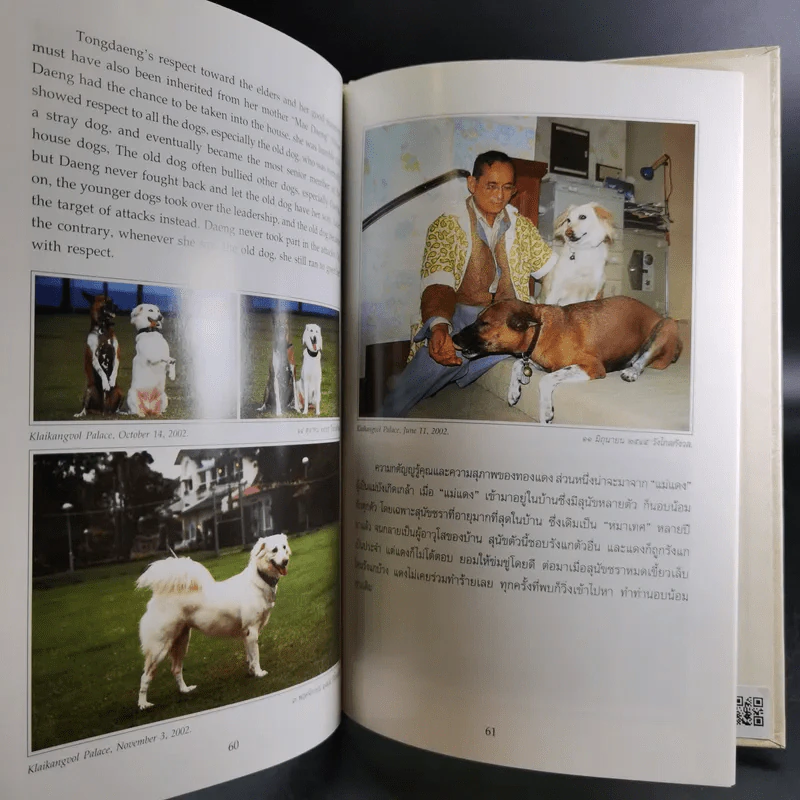 เรื่องทองแดง The Story of Tongdaeng รูปที่ 13