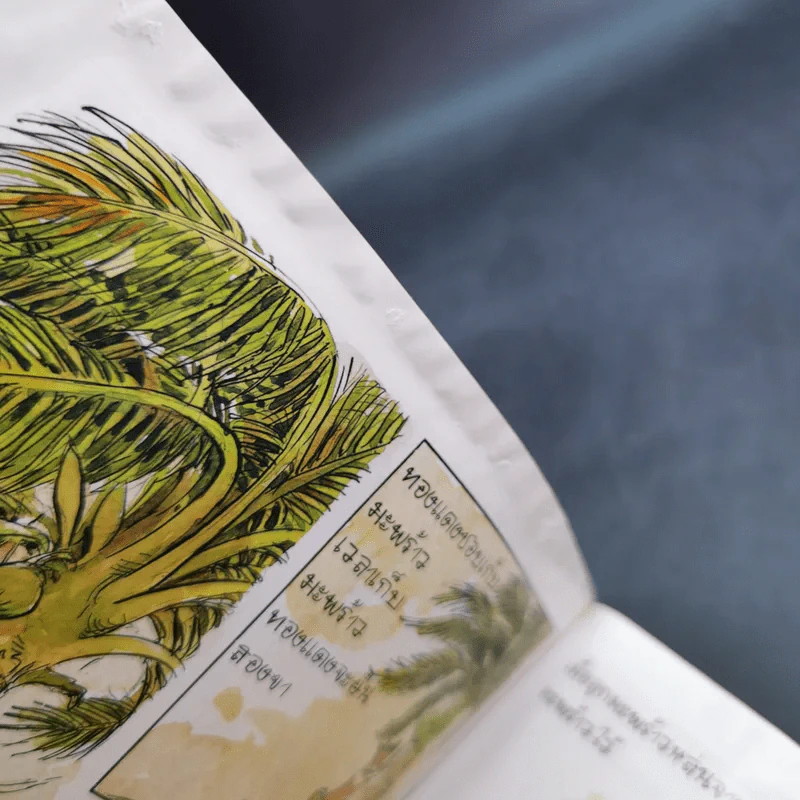 เรื่องทองแดง The Story of Tongdaeng ฉบับการ์ตูน ภาพสี รูปที่ 15