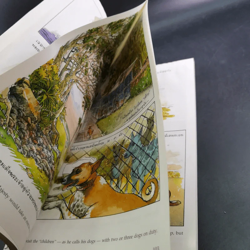 เรื่องทองแดง The Story of Tongdaeng ฉบับการ์ตูน ภาพสี รูปที่ 12