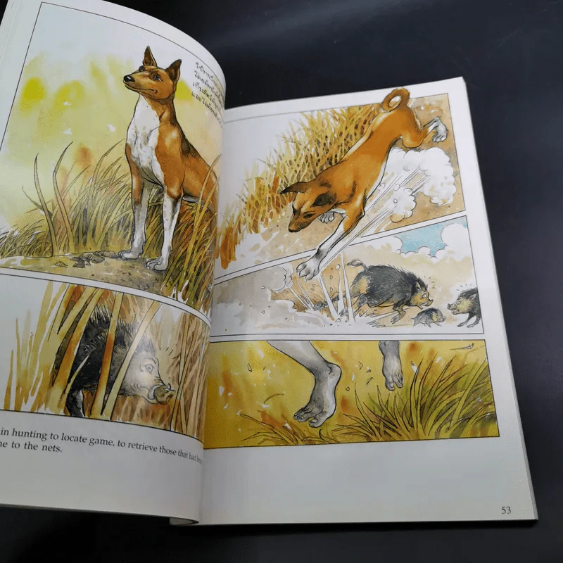 เรื่องทองแดง The Story of Tongdaeng ฉบับการ์ตูน ภาพสี รูปที่ 10