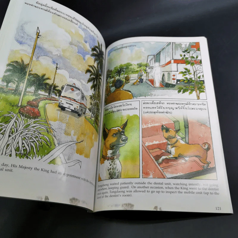 เรื่องทองแดง The Story of Tongdaeng ฉบับการ์ตูน ภาพสี รูปที่ 13