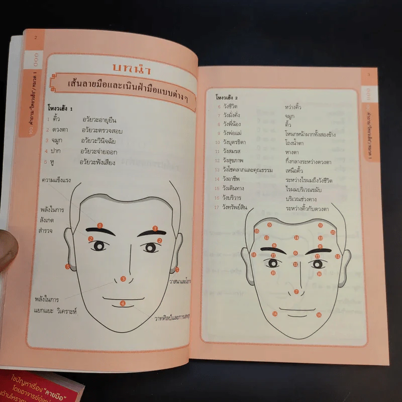 100 คำถามโหงวเฮ้ง + 100 คำถามลายมือ รูปที่ 14