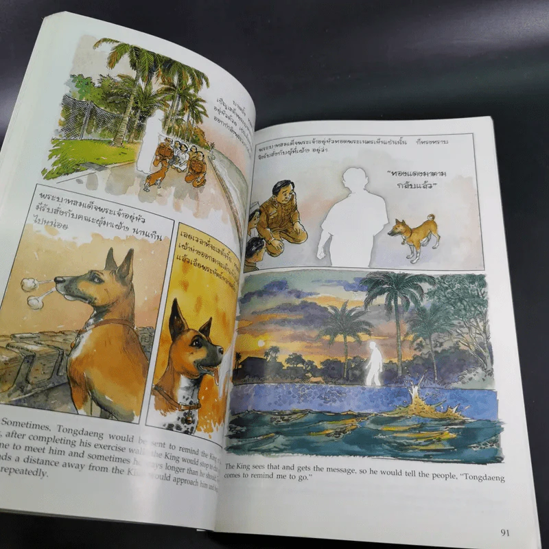 เรื่องทองแดง The Story of Tongdaeng ฉบับการ์ตูน ภาพสี รูปที่ 12