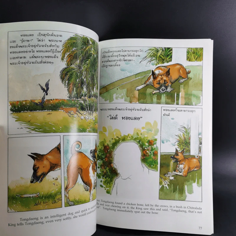 เรื่อง ทองแดง The Story of Tongdaeng รูปที่ 6