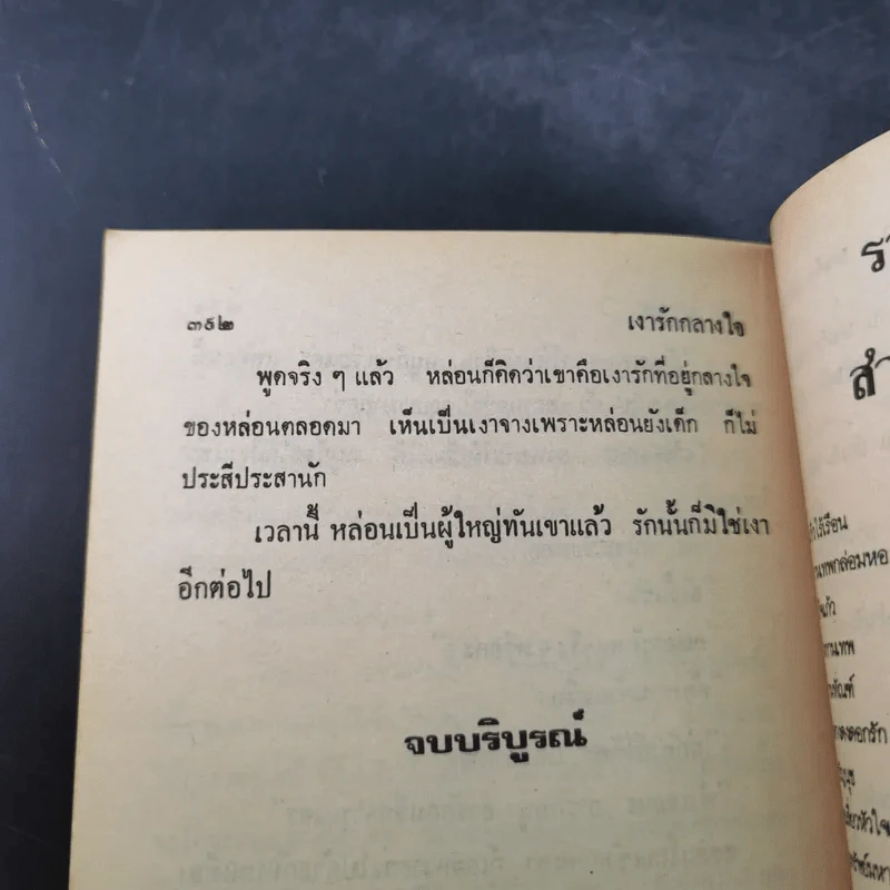 เงารักกลางใจ - วลัย นราวะ รูปที่ 12