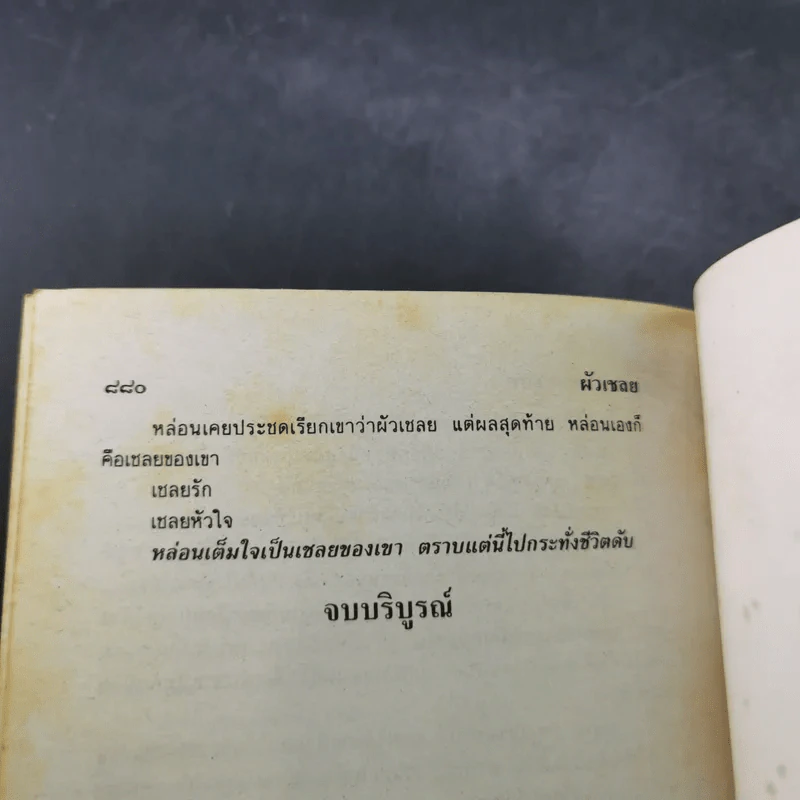 ผัวเชลย - จามรี พรรณชมพู รูปที่ 10