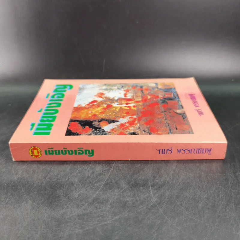 เมียบังเอิญ - จามรี พรรณชมพู รูปที่ 3