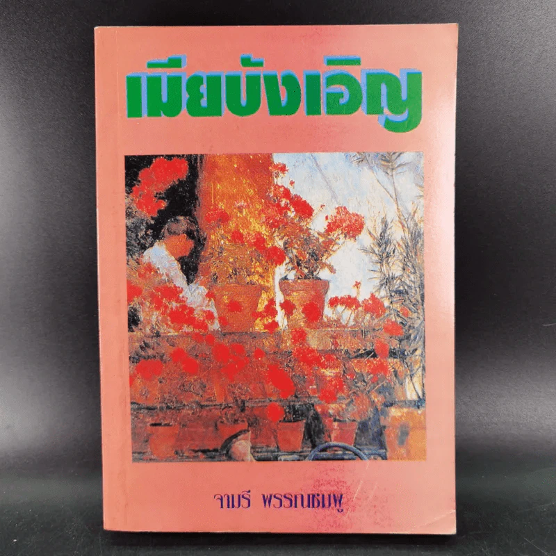 เมียบังเอิญ - จามรี พรรณชมพู รูปที่ 1