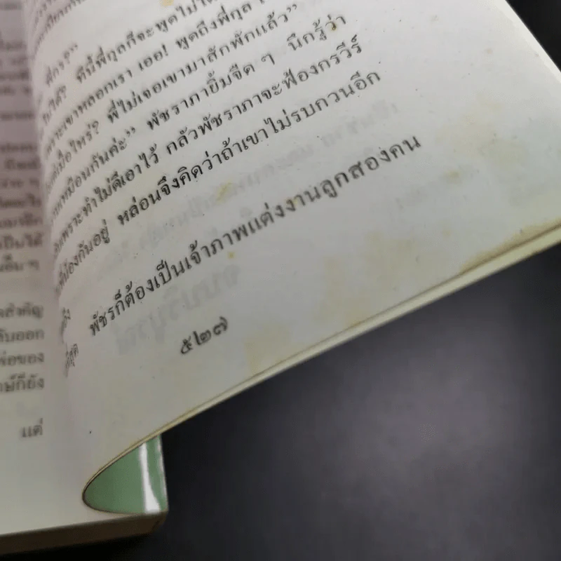 คู่รักคู่ชื่น - จามรี พรรณชมพู รูปที่ 11